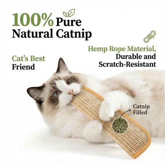 🔥 🐱Interactive Catnip Chew Toy